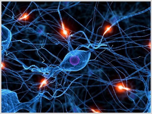 Глиоз белого вещества головного мозга: единичные и множественные очаги, признаки и прогноз жизни