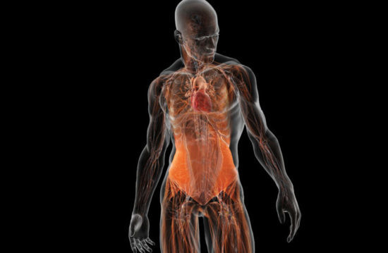 Процедура обследования МРТ всего тела (организма) – зачем делать, есть ли вред