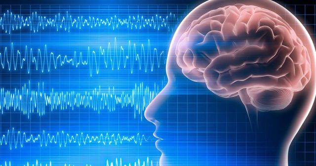 ЭЭГ или МРТ головного мозга: отличие, что лучше?