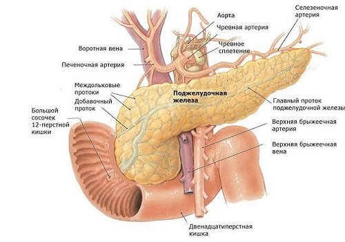 Как восстановить поджелудочную железу: таблетки для поджелудочной железы