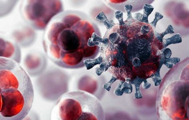 Лейкопения: лейкоциты при онкологии - сколько должно быть, уровень лейкоцитов при раке, показатели