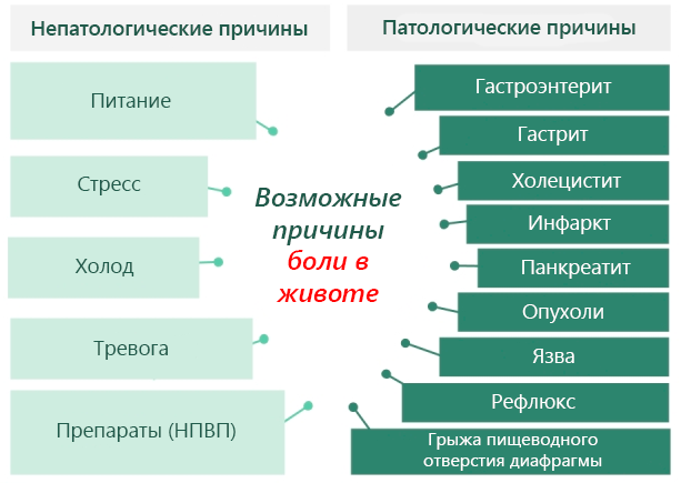 Обезболивающее при болях в желудке для детей, взрослых и беременных