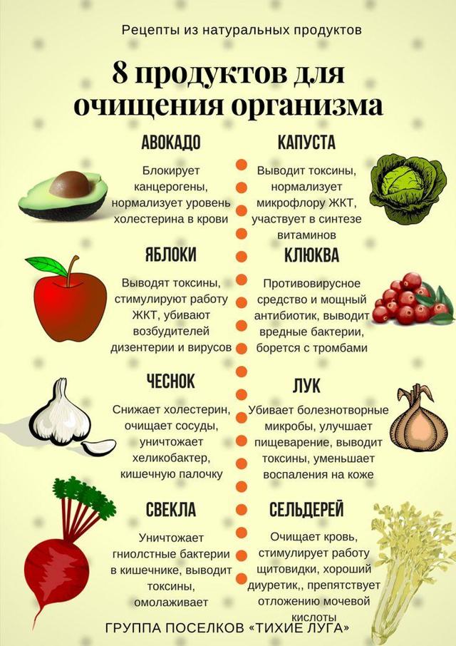 Продукты для поджелудочной железы и печени - Всё о печени