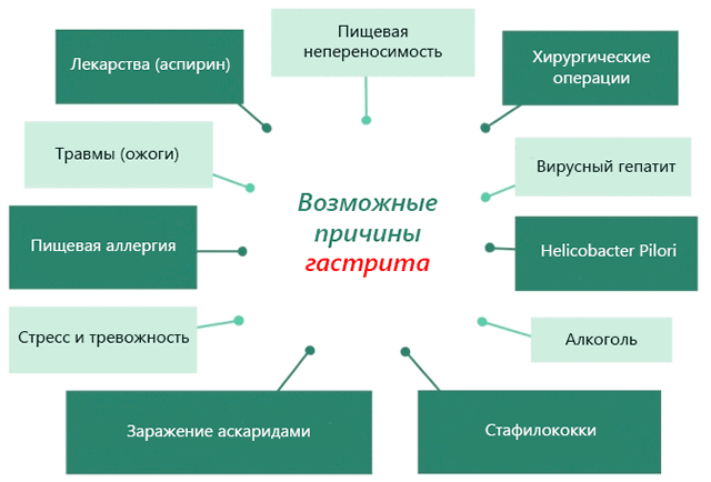 Подорожник при гастрите и язве желудка — лечение