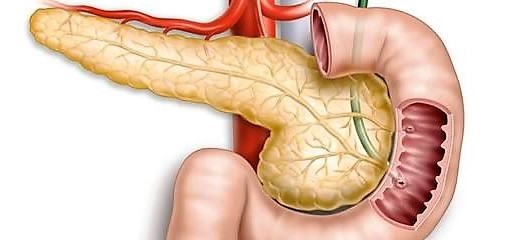 Поджелудочная железа - где находится и как болит орган человека