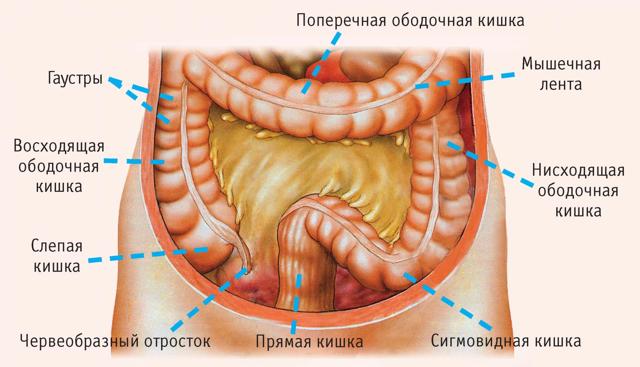 Заболевание кишечника: признаки, диета, и диагностика болезни