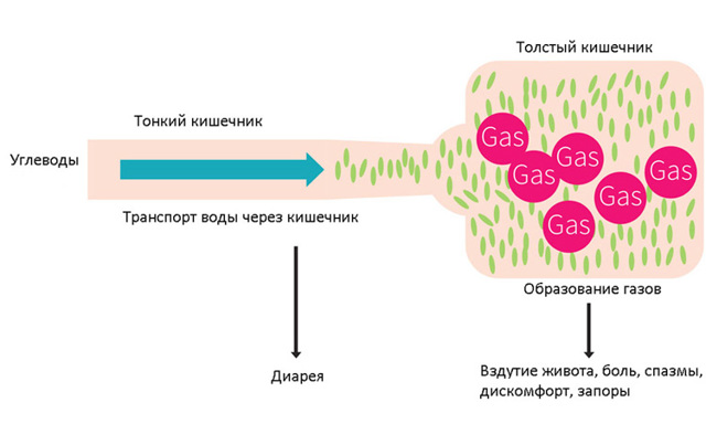 Диета при раздраженном кишечнике с болевым синдромом: продукты питания при СРК