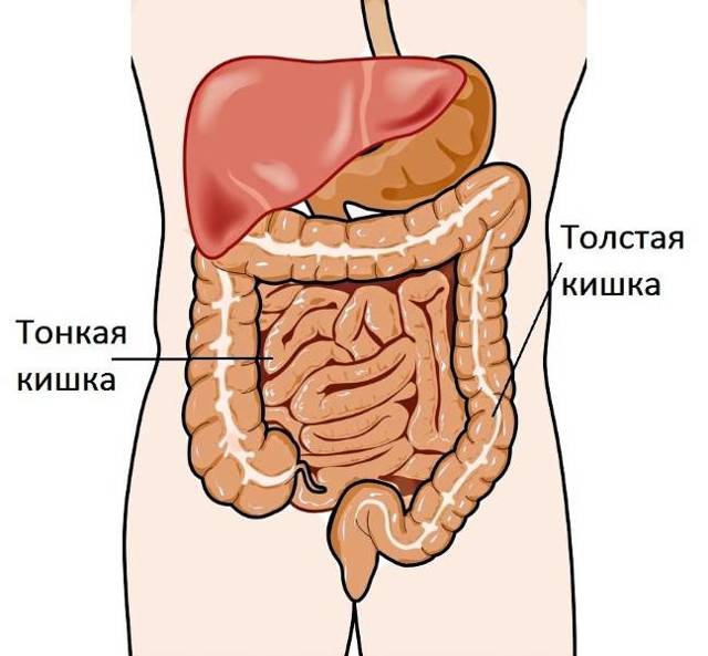 Свечи при колите: названия суппозиториев для лечения колита толстого кишечника у взрослых, недорогие и эффективные облепиховые свечи