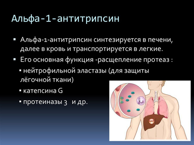 Анализ крови при циррозе печени - показатели и расшифровка