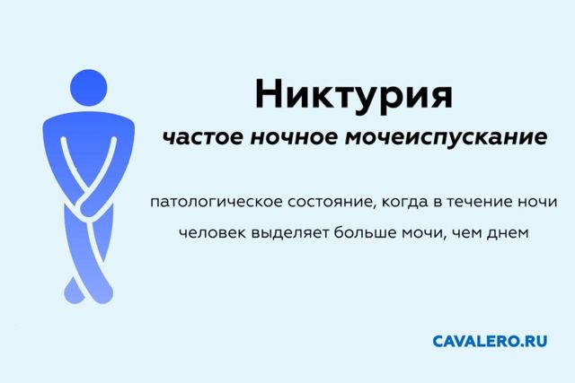 Частое ночное мочеиспускание у мужчин, никтурия - частые позывы к мочеиспусканию ночью