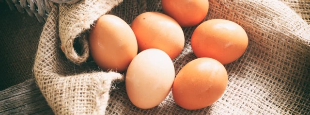 Глисты у кур - симптомы и лечение альбеном, глисты в куриных яйцах