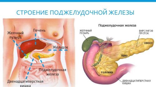 Как лечить поджелудочную железу: симптомы и советы врача, как питаться при панкреатите