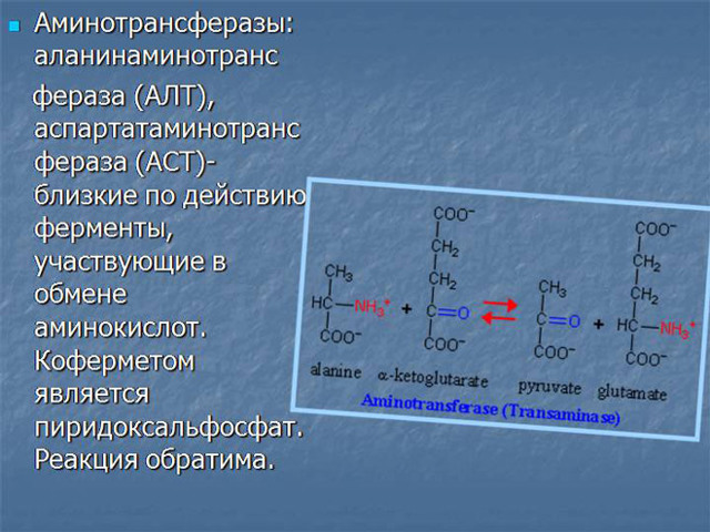 Анализ крови при циррозе печени - показатели и расшифровка