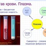 Анализ крови при циррозе печени - показатели и расшифровка