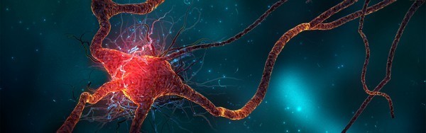 Заболевания нервной системы – причины и симптомы заболеваний нервной системы