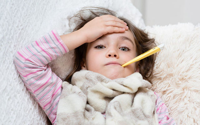 Как отличить аллергию от простуды у взрослого и ребенка?