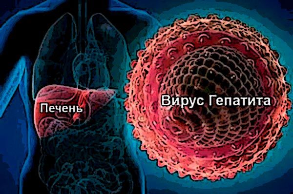 Передается ли гепатит С через поцелуй с носителем: каков риск заразиться