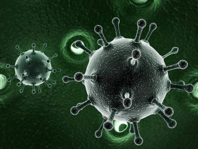Хронический гепатит в фаза репликации вируса
