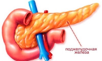 Как лечить поджелудочную железу: симптомы и советы врача, как питаться при панкреатите