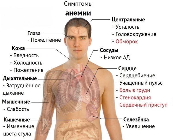 Как принимать холензим до или после еды