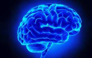 Правое полушарие головного мозга: за что отвечает, основные функции