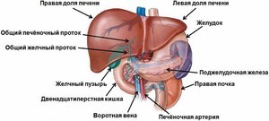 Диффузные изменения поджелудочной железы лечение