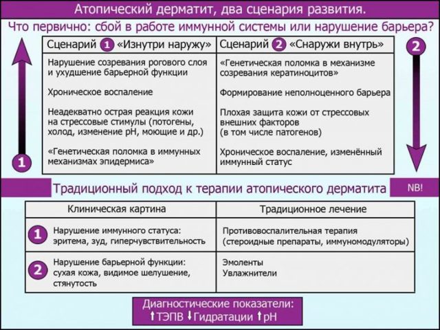 Красные пятна на коже у взрослых и детей - виды высыпаний и их фото, аллергия с зудом и без