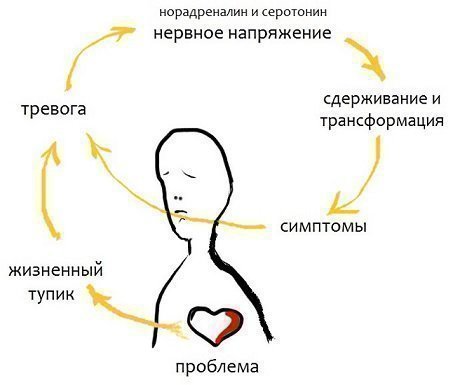 Вегетативный невроз – симптомы и лечение