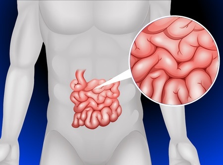 Нарушение всасывания в кишечнике: причины, симптомы и лечение
