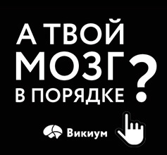 Правильное питание, как мера профилактики инсульта