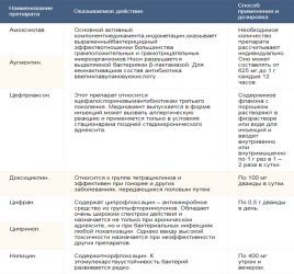 Боли внизу живота при переохлаждении: причины, симптомы и методы лечения