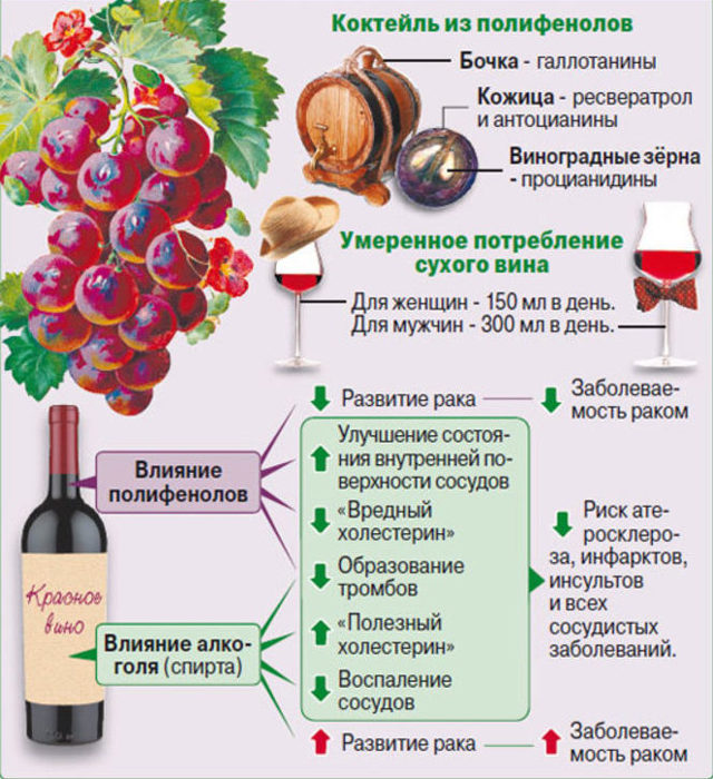 Алкоголь при сахарном диабете: можно ли диабетику сухое красное вино, пиво и водку?