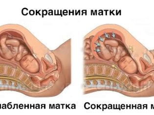 Папаверин при беременности: для чего назначают, особенности на ранних и поздних сроках, инструкция по применению, отзывы