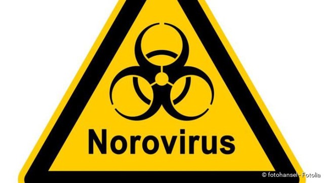 Норовирус: симптомы и лечение