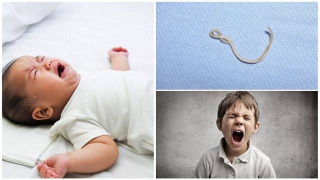Аскариды у детей (аскаридоз) – симптомы и лечение, жизненный цикл аскариды