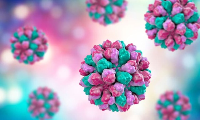 Норовирус: симптомы и лечение