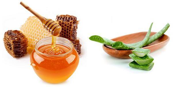 Алоэ при гастрите: сок с мёдом при повышенной кислотности