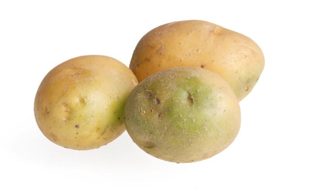 Лечение геморроя картофелем дома