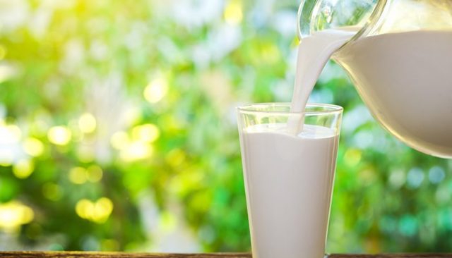 Можно ли пить молоко при язве желудка?