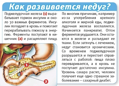 Питание при панкреатите: какие продукты нельзя и что можно есть при панкреатите?