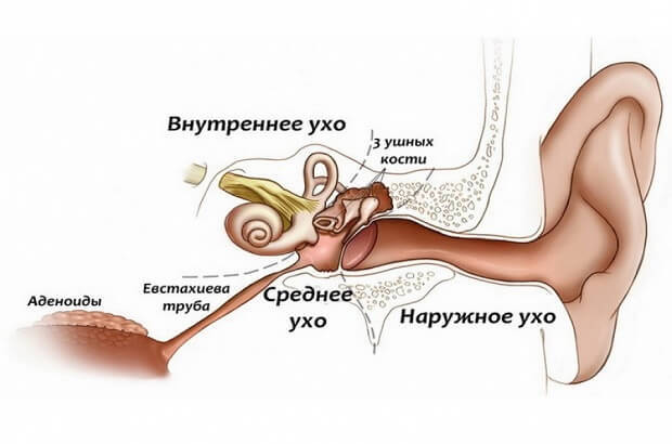 Шум в правом ухе без боли: возможные причины и методы лечения