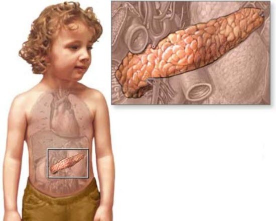 Увеличена поджелудочная железа у ребенка комаровский