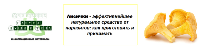 Грибы лисички от паразитов: отзывы о домашнем методе лечения