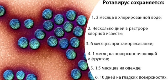 Ротавирус сколько дней заразен после выздоровления