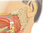 Невралгия уха симптомы и лечение ушного нерва