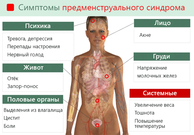 Болит живот и тошнит: причины, сопутствующие симптомы, у женщин, что делать.