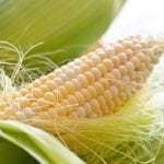 Кукурузные рыльца как заваривать при панкреатите