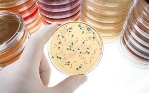 Как быстро восстановить микрофлору кишечника после антибиотиков?