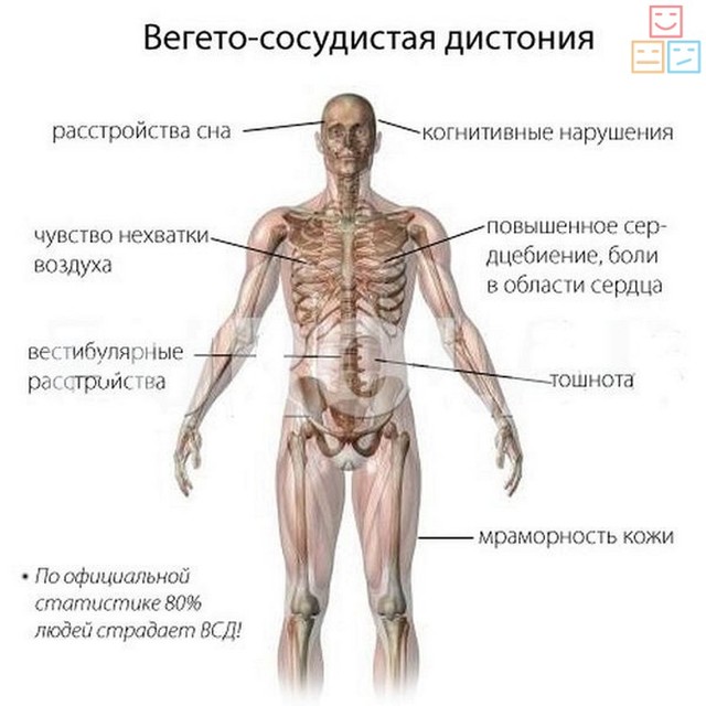 Вегетативный невроз – симптомы и лечение