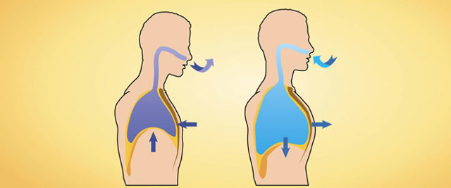 Как легче перенести ФГДС: способы легко пройти и пережить, как правильно дышать